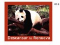 /album/hombres-especiales/diapositiva7-jpg/